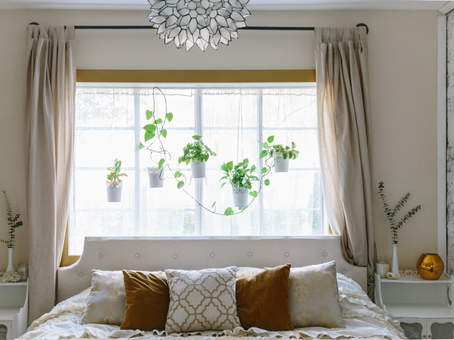 Bed in front of the window top
